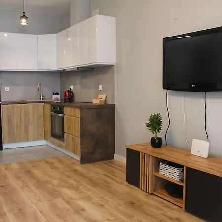 アパート Close-przyjazny W Gdansku &p29 *